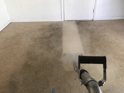 EcoClean Carpet Stain Removal in Schaumburg
