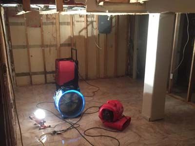 EcoClean Mold Removal and Remediation in Westmont